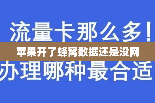 苹果开了蜂窝数据还是没网