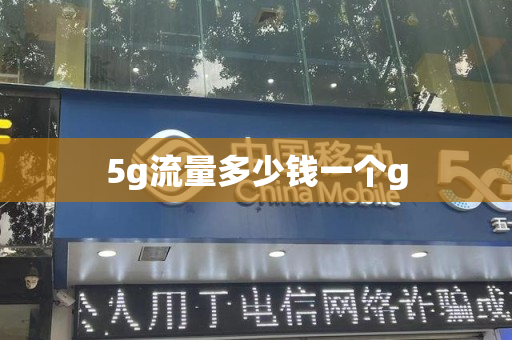 5g流量多少钱一个g