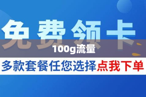 100g流量