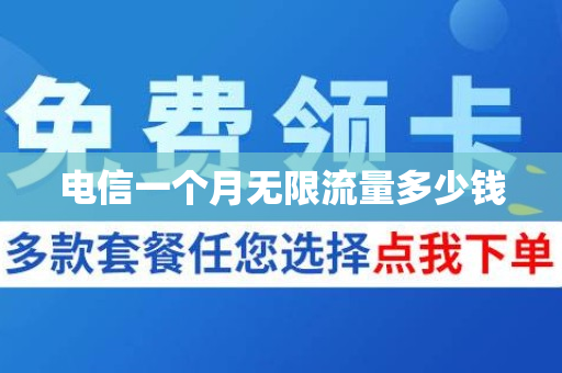 电信一个月无限流量多少钱