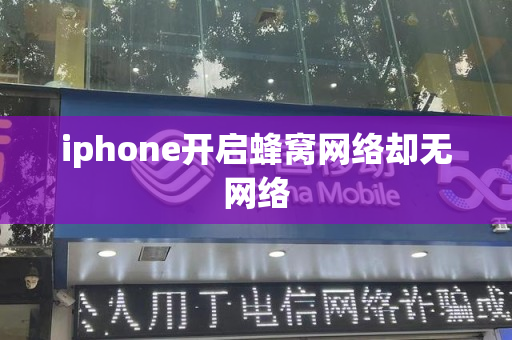 iphone开启蜂窝网络却无网络