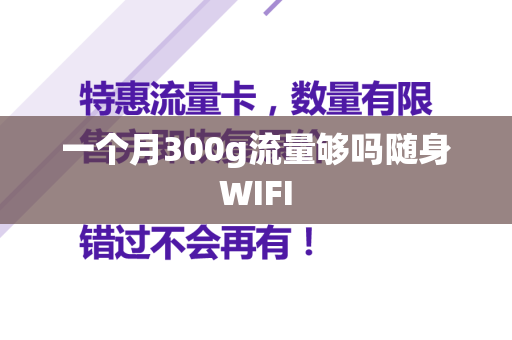 一个月300g流量够吗随身WIFI