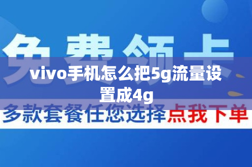 vivo手机怎么把5g流量设置成4g