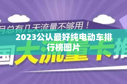 2023公认最好纯电动车排行榜图片