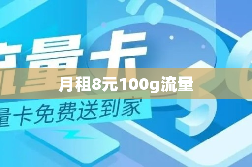 月租8元100g流量