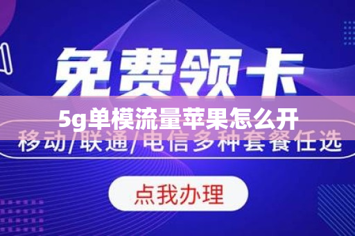 5g单模流量苹果怎么开