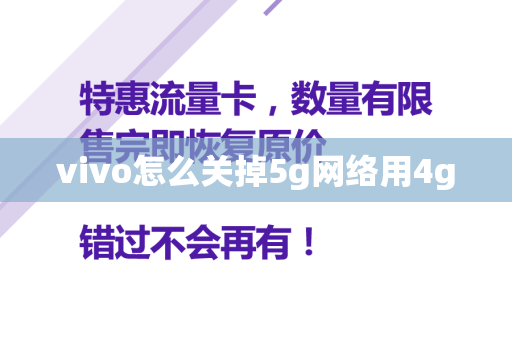 vivo怎么关掉5g网络用4g