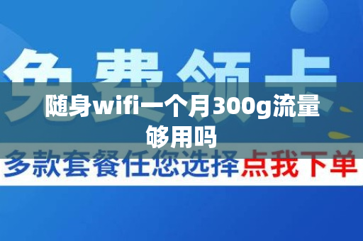 随身wifi一个月300g流量够用吗