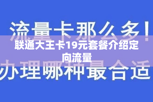 联通大王卡19元套餐介绍定向流量