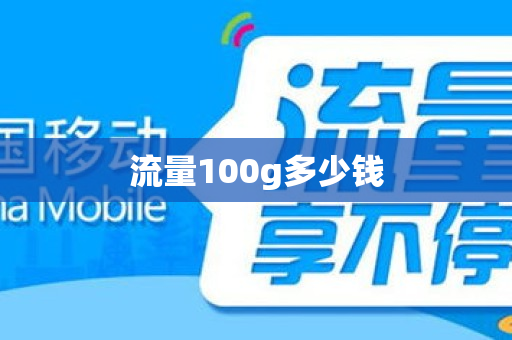 流量100g多少钱