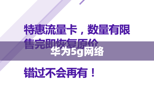 华为5g网络