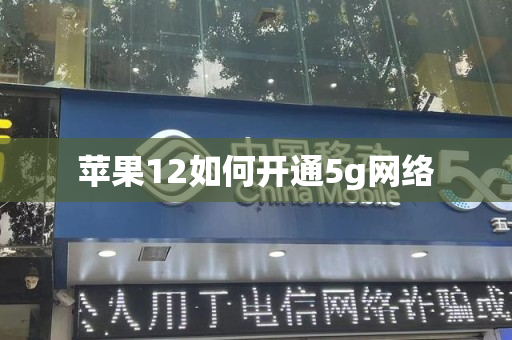 苹果12如何开通5g网络