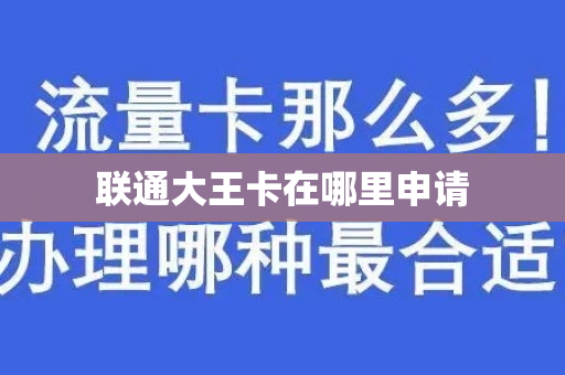 联通大王卡在哪里申请