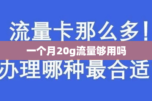 一个月20g流量够用吗