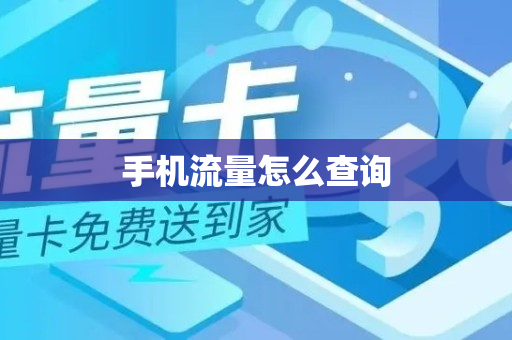 手机流量怎么查询