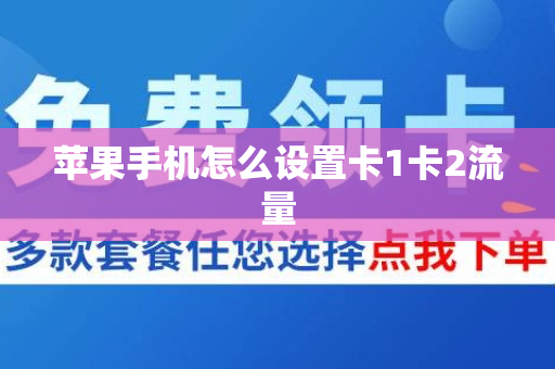 苹果手机怎么设置卡1卡2流量