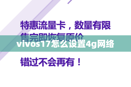 vivos17怎么设置4g网络