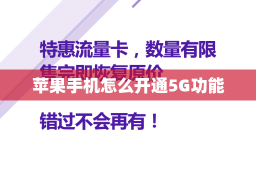 苹果手机怎么开通5G功能