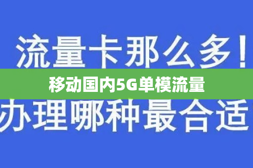 移动国内5G单模流量