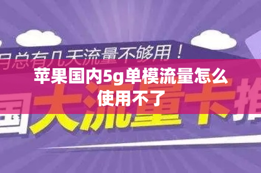 苹果国内5g单模流量怎么使用不了