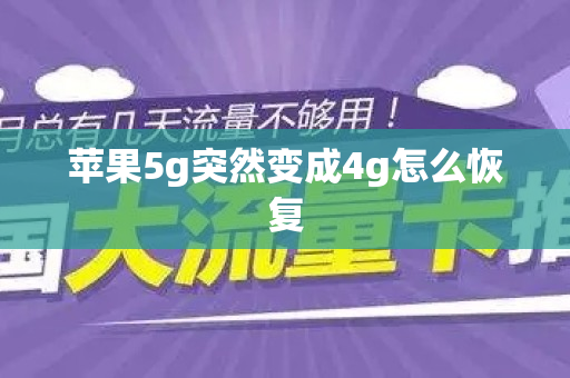 苹果5g突然变成4g怎么恢复