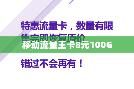 移动流量王卡8元100G