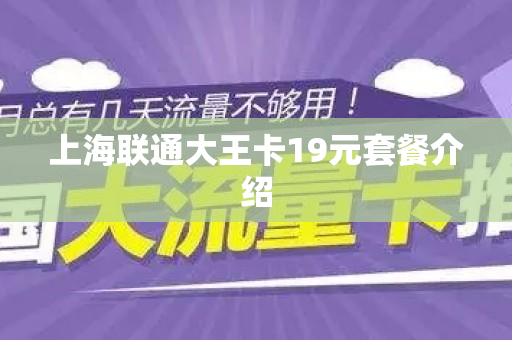 上海联通大王卡19元套餐介绍