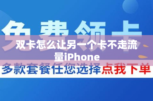 双卡怎么让另一个卡不走流量iPhone