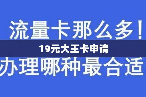 19元大王卡申请