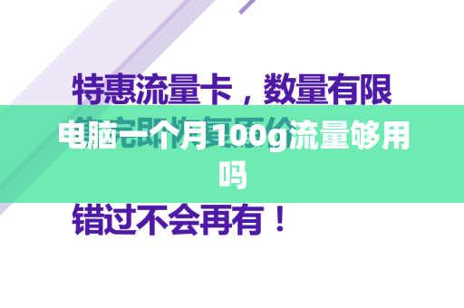 电脑一个月100g流量够用吗