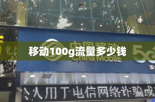 移动100g流量多少钱