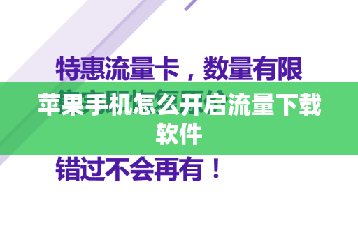 苹果手机怎么开启流量下载软件