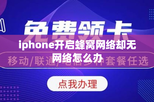 iphone开启蜂窝网络却无网络怎么办