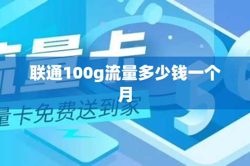 联通100g流量多少钱一个月