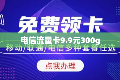 电信流量卡9.9元300g