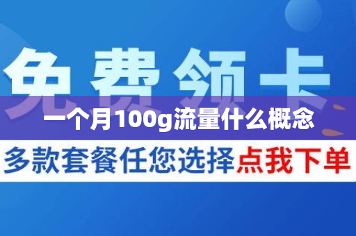 一个月100g流量什么概念