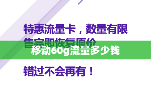 移动60g流量多少钱