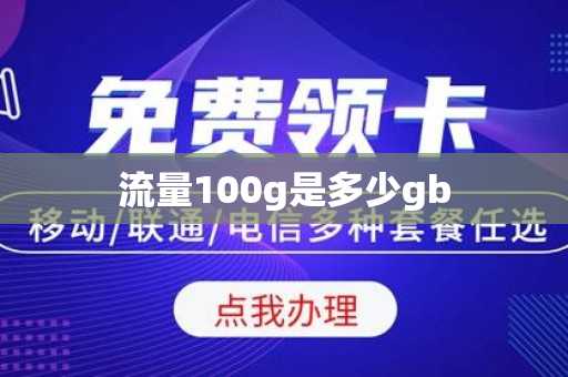 流量100g是多少gb