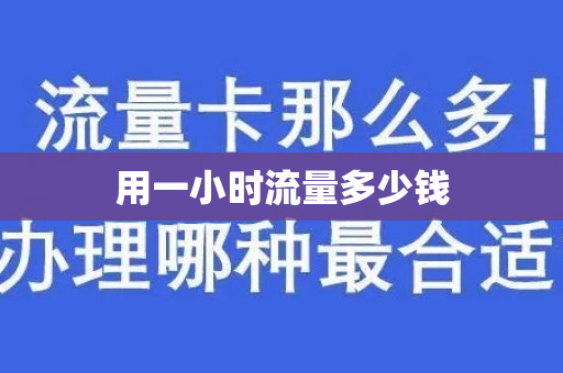 用一小时流量多少钱