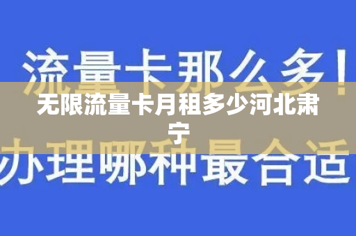 无限流量卡月租多少河北肃宁