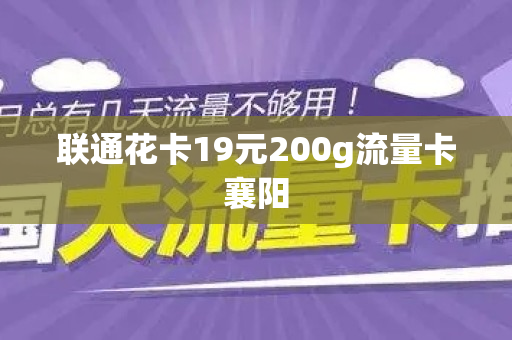 联通花卡19元200g流量卡襄阳