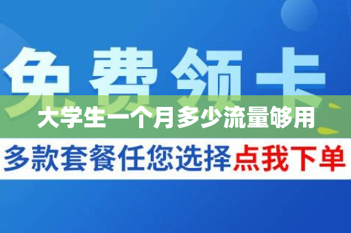 大学生一个月多少流量够用