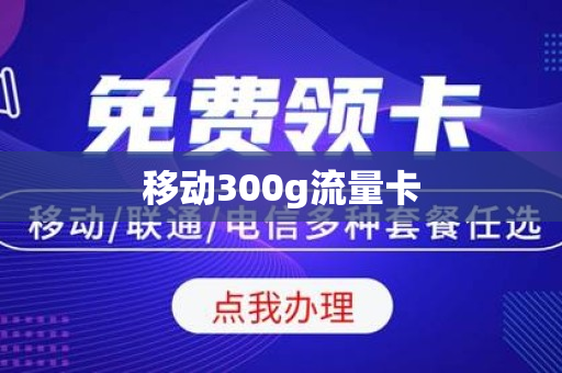 移动300g流量卡