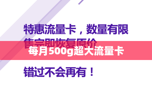 每月500g超大流量卡