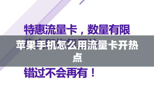 苹果手机怎么用流量卡开热点