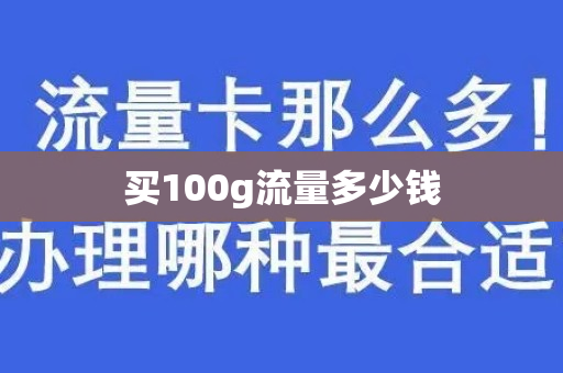 买100g流量多少钱