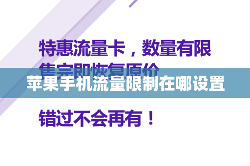 苹果手机流量限制在哪设置