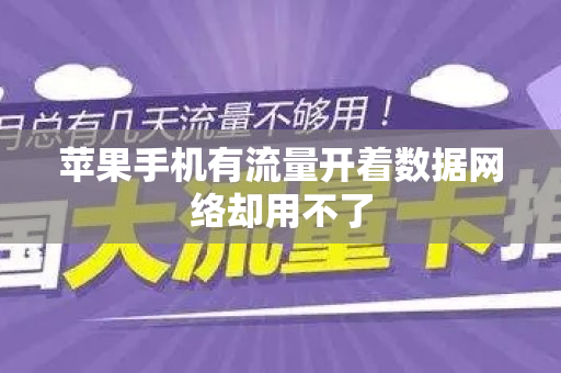 苹果手机有流量开着数据网络却用不了