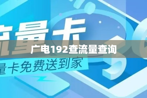 广电192查流量查询