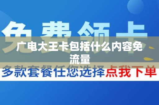 广电大王卡包括什么内容免流量